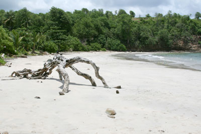 Hamilton Holiday Houses: Two Bays Villa and Studios, Grenada, The Caribbean 